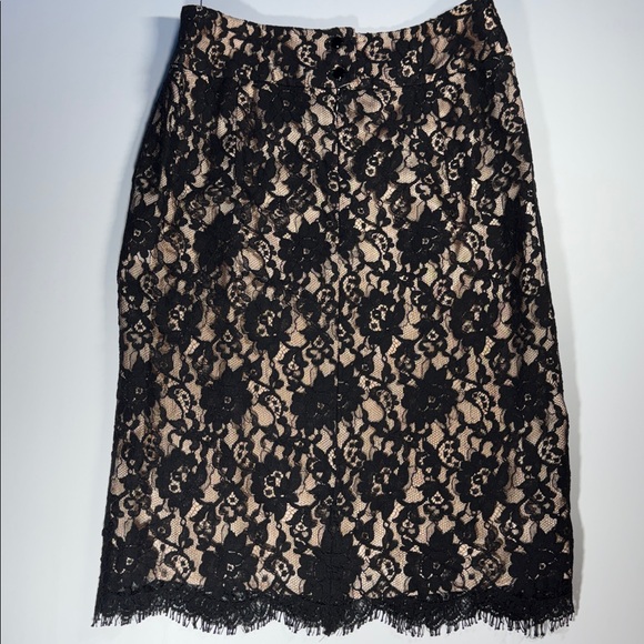 NWT Banana Republic Black Lace Skirt overlay & Nude Blush Pink Lining
Size 2 - Picture 5 of 16